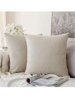 2PK Velvet Pillow Covers Decorative