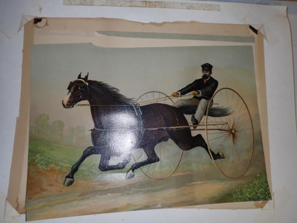 SE CASSINO 1881 SMUGGLER SCOTT LEIGHTON PRINT