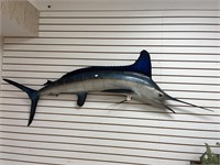Blue Marlin Full Body Mount