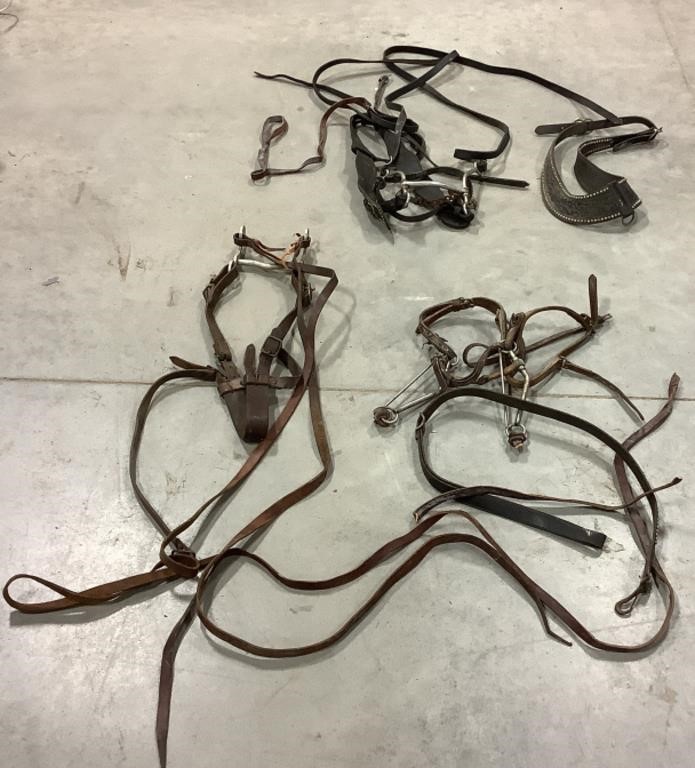 Lot of horse tack/harnesses