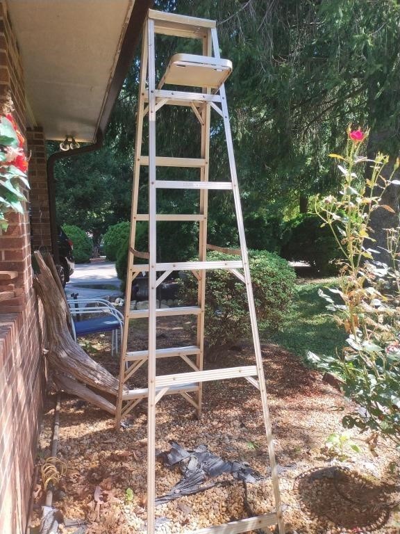 Werner Job-Master aluminum 8' ladder