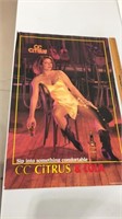 Cc Citrus whiskey poster.  36x24