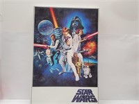 Star Wars Picture 16" x 24"