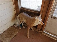 Coyote, Lawn Umbrella, etc.