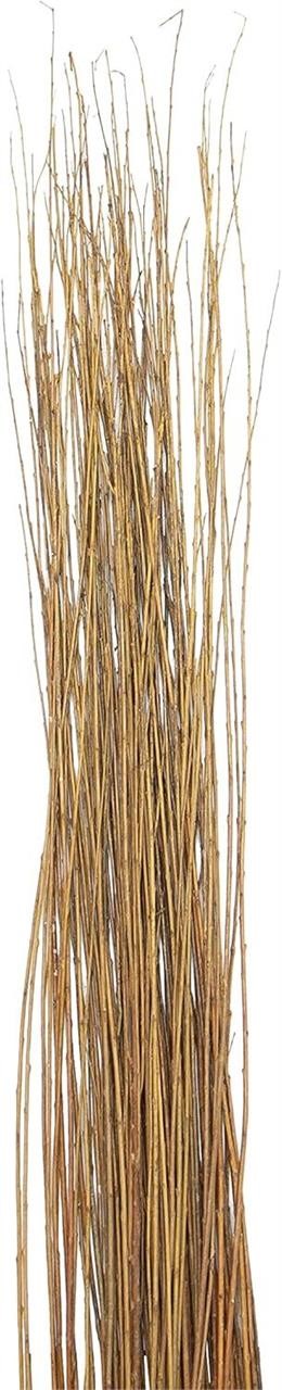 60-70 Stem Dried Asian Willow  3-4 Feet Natural