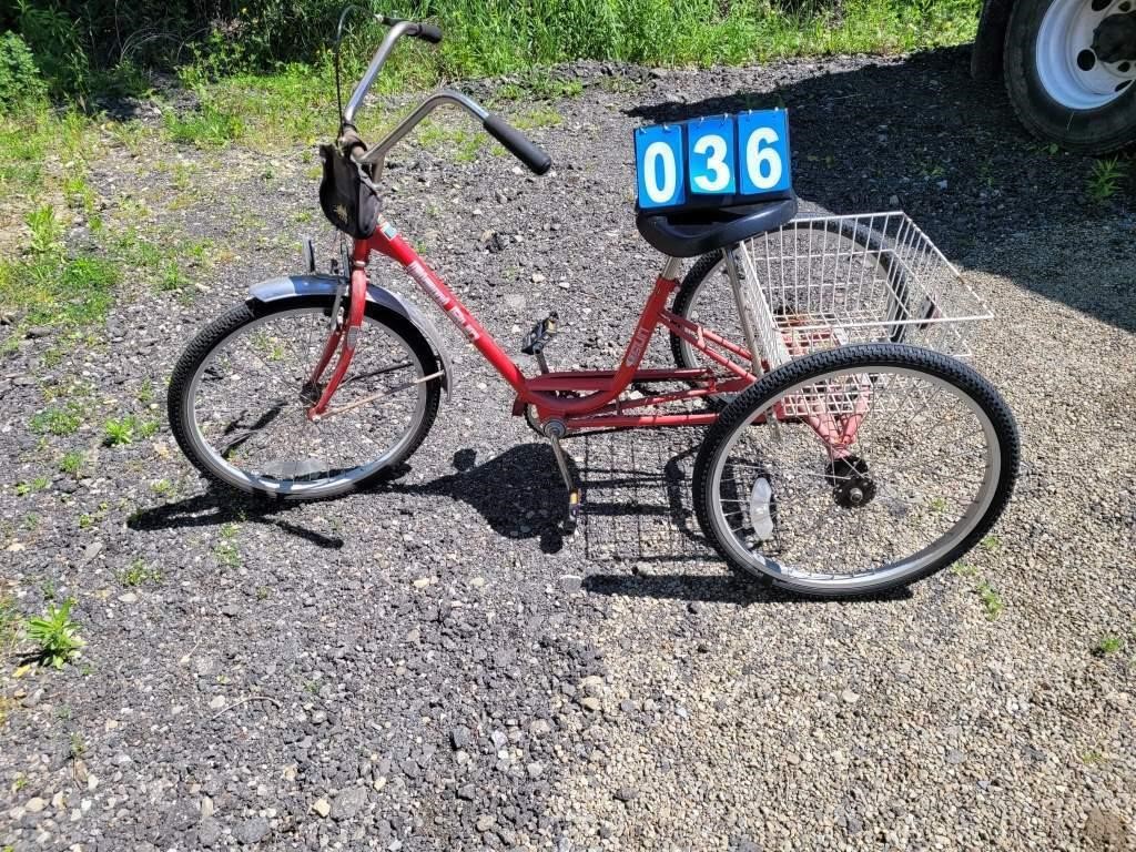 Adult Tricycle three wheeler miami sun
