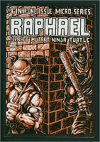 MIRAGE STUDIOS RAPHAEL TMNT #1 COMIC BOOK KEY
