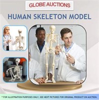 HUMAN SKELETON MODEL