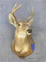 Deer Mount 28"