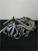 3 halters with lead ropes