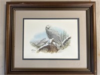 Framed owl, signed the frame is 15” x 12”