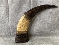 19" Decorative Buffalo Horn