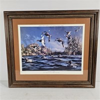 Framed Duck Art Print