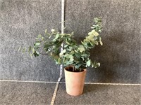 Faux Potted Plant