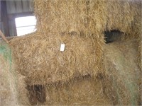 11 + or -  SQUARE BALES OF STRAW IN CALF BARN