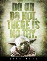 Star Wars Photo  DO or DO NOT