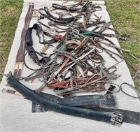 Large Lot of Leather Horse Riding Accessories