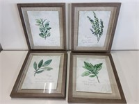 4 Herb Pictures 13in X 11in