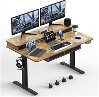 ExaDesk S06 Series 55"x 30" Electric Standing Desk