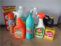 Misc. Cleaners and Bug Spray