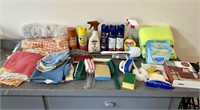 Assortment of cleaning supplies.