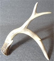 ANTLER PICTURE HOLDER