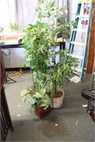 Lot of 3 artificial Plants Ficus and more