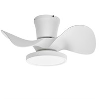 ocioc Quiet Ceiling Fan with LED Light 22 inch Lar