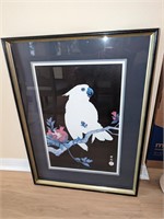 Framed Art Cockatoo SLR