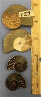 Lot with four small ammonite fossils      (11)
