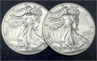 (2) 2021 Type 2 Silver Eagles