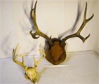 2 Deer Racks - 10 Pt Wall Mount & Skull Rack