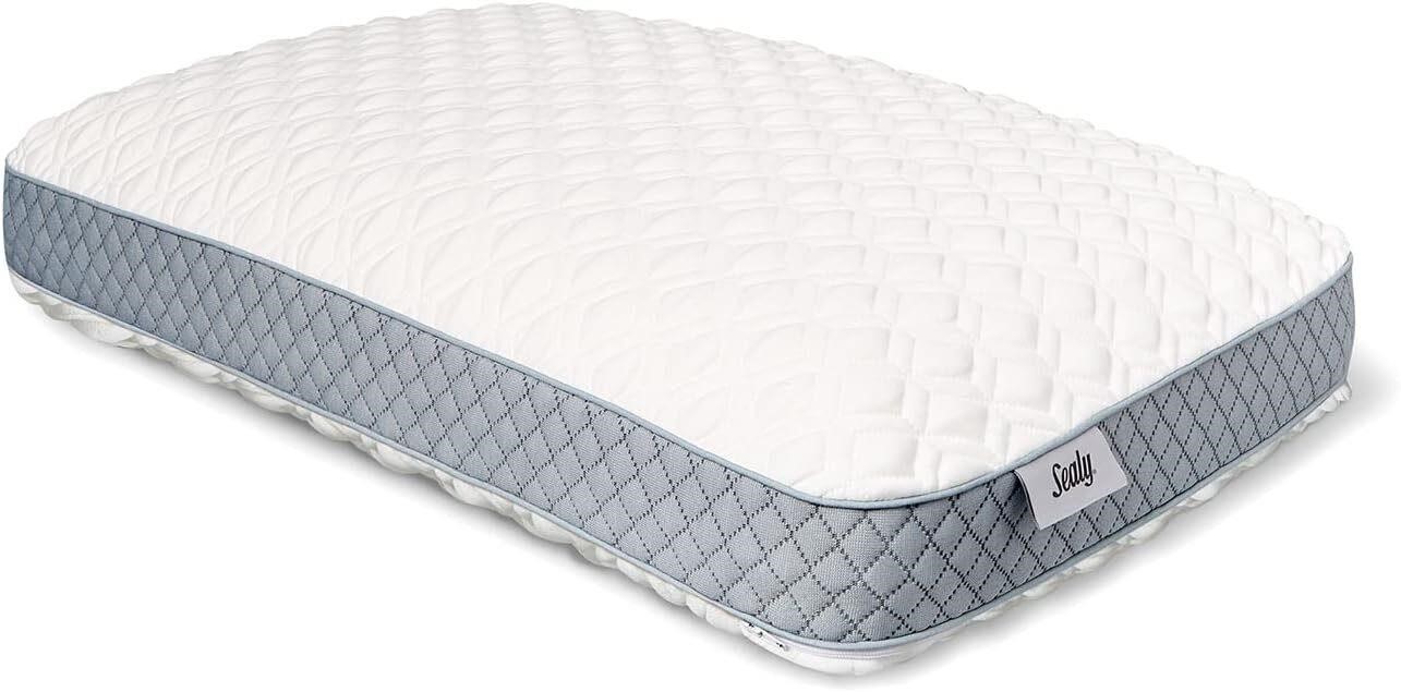Sealy Molded Bed Pillow  16x24x5.75 Inches