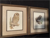 R.A. Vowles & Murr Owl Paintings