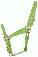 Hamilton 3/4-Inch Nylon Arabian Horse Halter