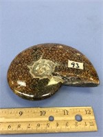 Phenomenal ammonite fossil, complete 4.75" with st