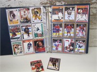 Hockey Cards In NHL Album