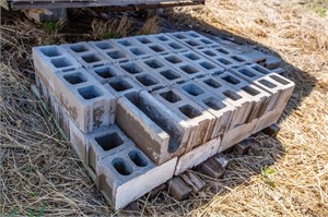 Pallet of Cement Blocks and Pavers - YOU REMOVE