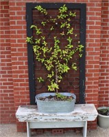 Screen door Bench Pot