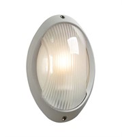 1 Light Outdoor Wall Sconce in Silver