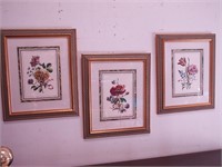 Three framed and matted botanical prints