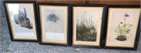 (4) Vintage 5 x 7 Botanical & Rabbit Prints