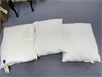 3 Bed Pillows-2 are Tempurpedic