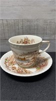 Johnson Bros Castle On The Lake Cup & Saucer
