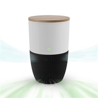 Dupray Bloom Air Purifier for Large Rooms with Pl