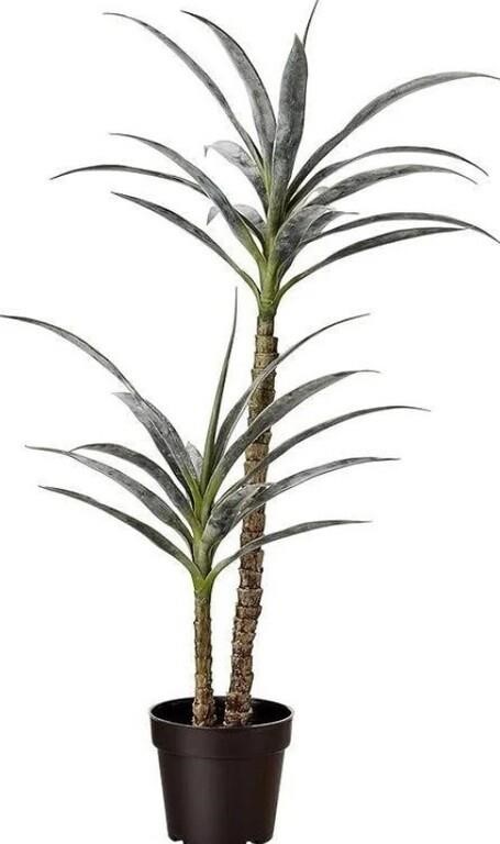 Amazon Basics 42'' Yucca Plant with Pot