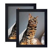 Xiangzhen Picture Frame 8x10 Inch Set of 2 Made