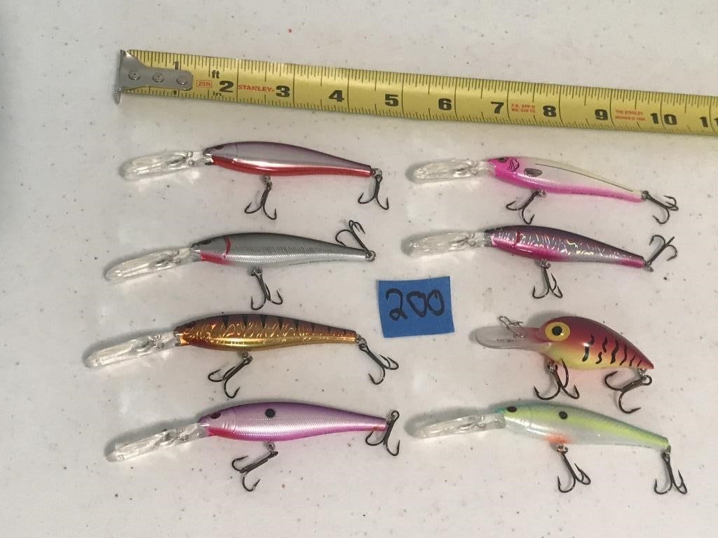 8 Fishing Lures With Plastic Bills