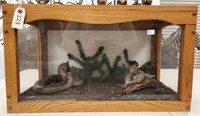 Rattlesnake & Chipmunk in Decorated Terrarium