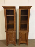 Custom Cabinet/Bookcase